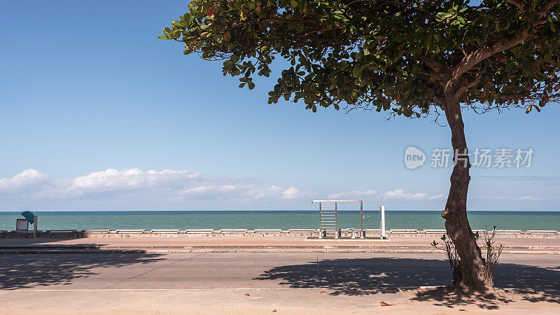 Boa Viagem海滩前的树